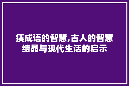 痍成语的智慧,古人的智慧结晶与现代生活的启示