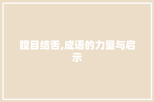 瞠目结舌,成语的力量与启示