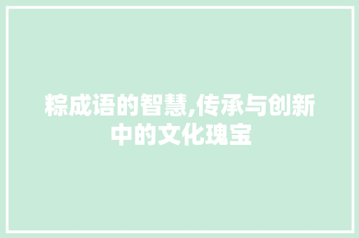 粽成语的智慧,传承与创新中的文化瑰宝