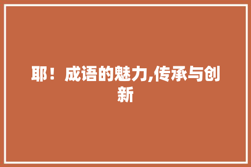 耶！成语的魅力,传承与创新