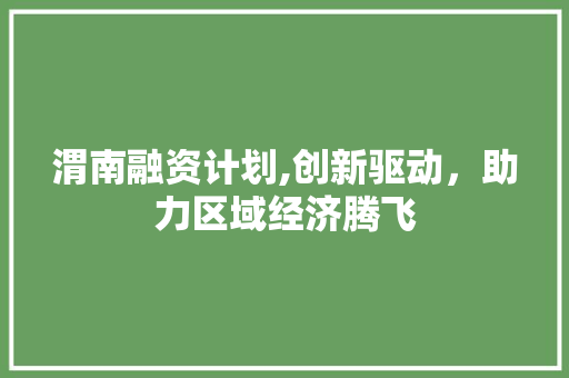 渭南融资计划,创新驱动，助力区域经济腾飞