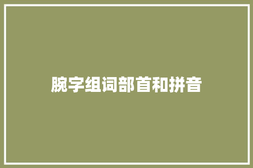 腕字组词部首和拼音