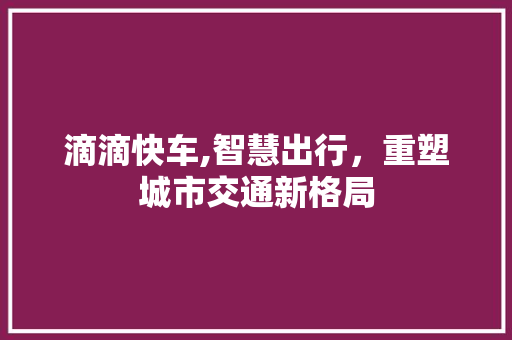滴滴快车,智慧出行，重塑城市交通新格局