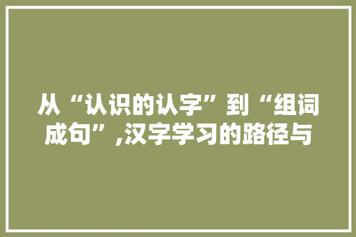 从“认识的认字”到“组词成句”,汉字学习的路径与智慧 个人简历