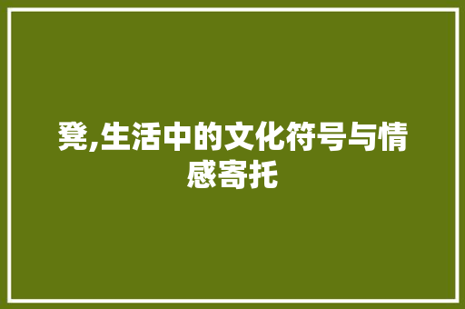 凳,生活中的文化符号与情感寄托