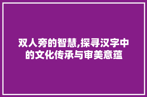双人旁的智慧,探寻汉字中的文化传承与审美意蕴