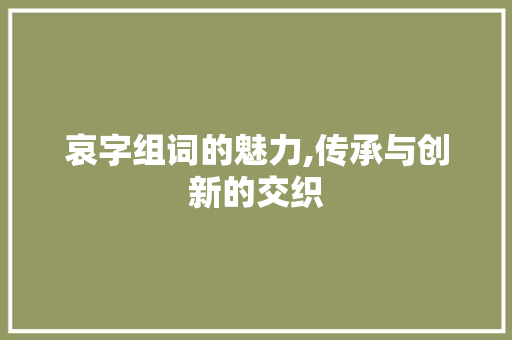 哀字组词的魅力,传承与创新的交织