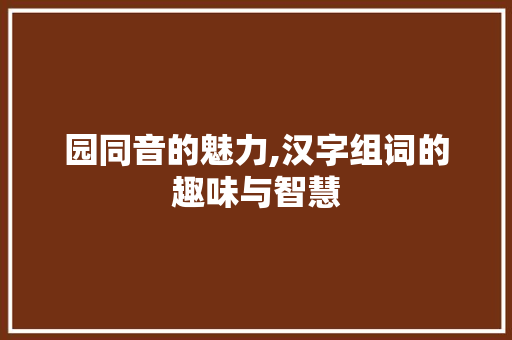 园同音的魅力,汉字组词的趣味与智慧
