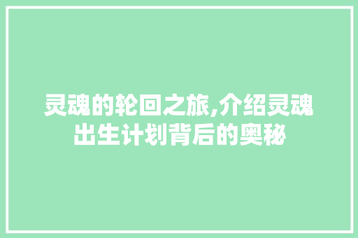 灵魂的轮回之旅,介绍灵魂出生计划背后的奥秘