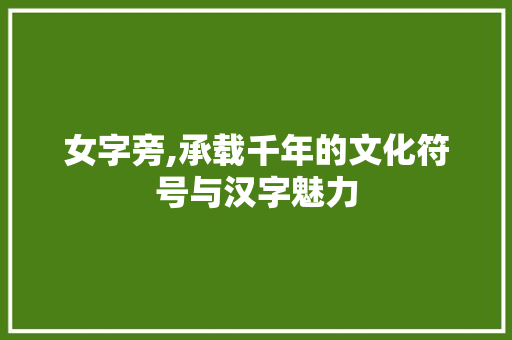 女字旁,承载千年的文化符号与汉字魅力