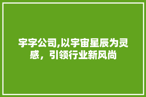 宇字公司,以宇宙星辰为灵感，引领行业新风尚
