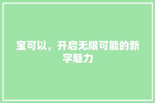 宝可以，开启无限可能的新字魅力