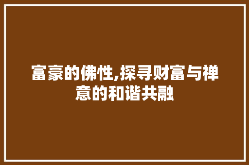 富豪的佛性,探寻财富与禅意的和谐共融