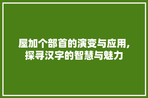 屋加个部首的演变与应用,探寻汉字的智慧与魅力