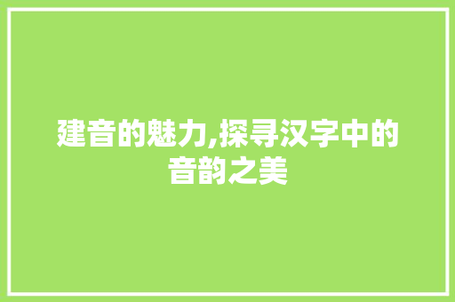 建音的魅力,探寻汉字中的音韵之美