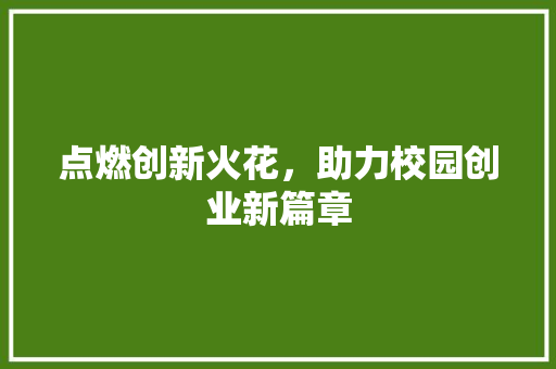 点燃创新火花，助力校园创业新篇章