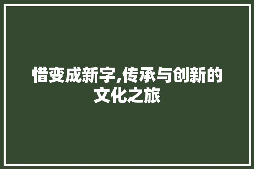 惜变成新字,传承与创新的文化之旅