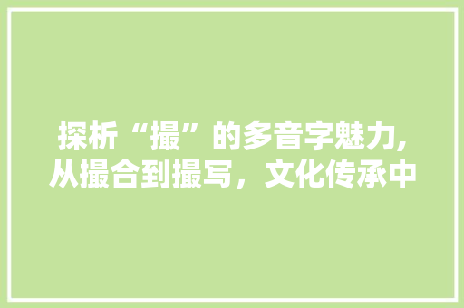探析“撮”的多音字魅力,从撮合到撮写，文化传承中的文字智慧