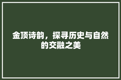 金顶诗韵，探寻历史与自然的交融之美 成语大全