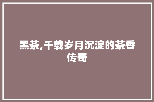 黑茶,千载岁月沉淀的茶香传奇