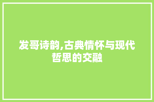 发哥诗韵,古典情怀与现代哲思的交融