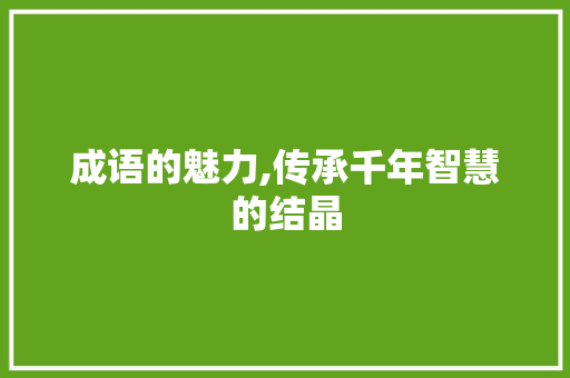 成语的魅力,传承千年智慧的结晶