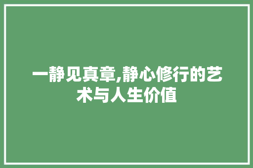 一静见真章,静心修行的艺术与人生价值 个人简历