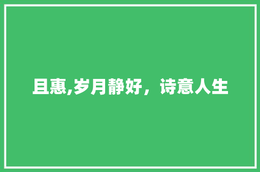 且惠,岁月静好，诗意人生