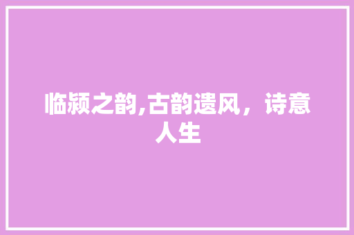临颍之韵,古韵遗风，诗意人生