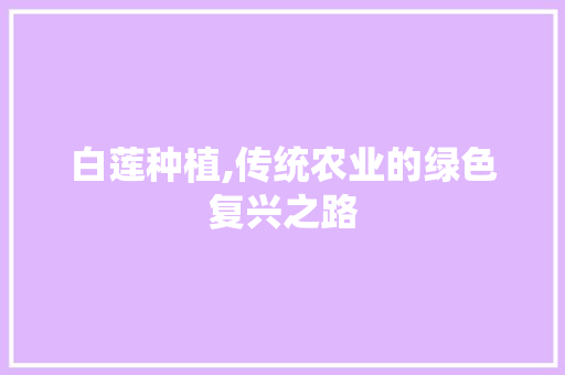白莲种植,传统农业的绿色复兴之路