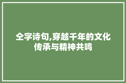 仝字诗句,穿越千年的文化传承与精神共鸣