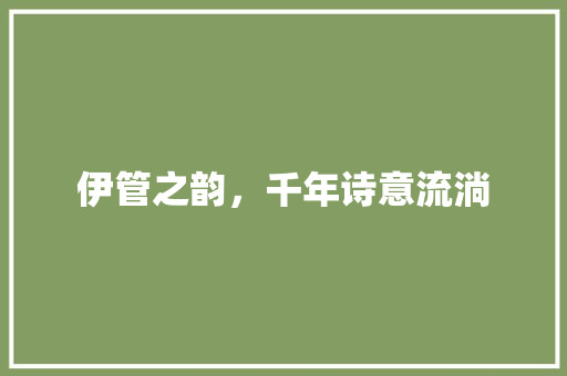 伊管之韵，千年诗意流淌