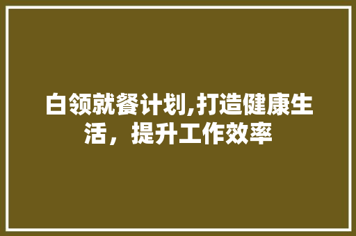 白领就餐计划,打造健康生活，提升工作效率 演讲稿