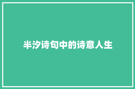 半汐诗句中的诗意人生