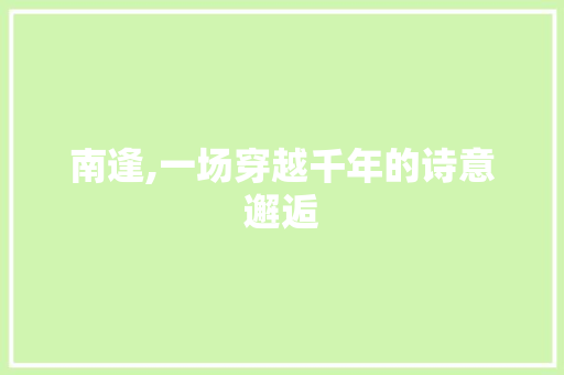 南逢,一场穿越千年的诗意邂逅