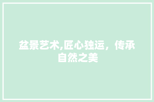 盆景艺术,匠心独运，传承自然之美