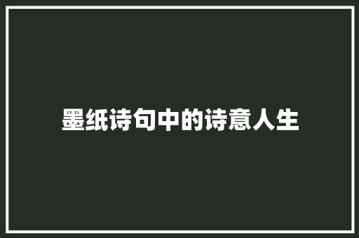 墨纸诗句中的诗意人生