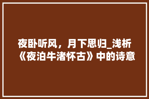 夜卧听风，月下思归_浅析《夜泊牛渚怀古》中的诗意人生