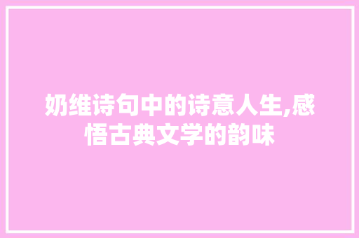 奶维诗句中的诗意人生,感悟古典文学的韵味 个人简历
