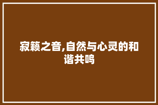 寂籁之音,自然与心灵的和谐共鸣
