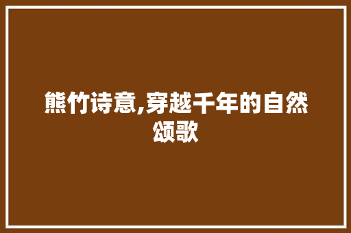 熊竹诗意,穿越千年的自然颂歌