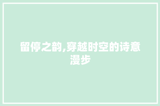 留停之韵,穿越时空的诗意漫步