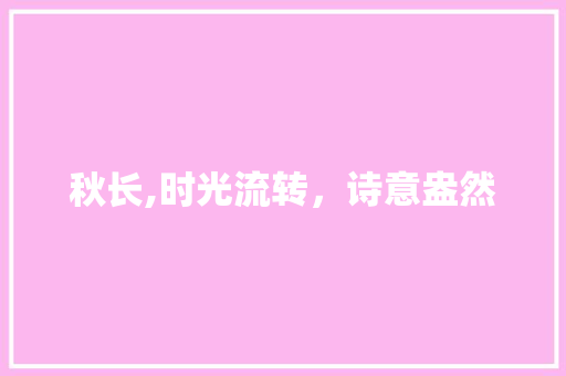秋长,时光流转，诗意盎然 成语大全