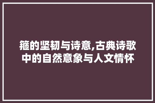 箍的坚韧与诗意,古典诗歌中的自然意象与人文情怀