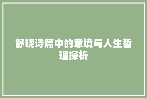 舒晓诗篇中的意境与人生哲理探析