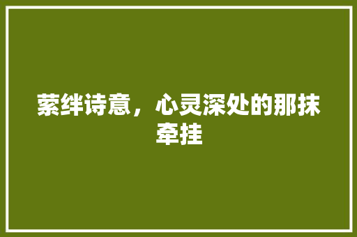 萦绊诗意，心灵深处的那抹牵挂 诗词鉴赏