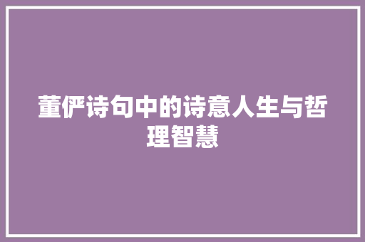 董俨诗句中的诗意人生与哲理智慧