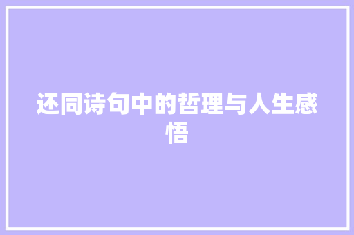 还同诗句中的哲理与人生感悟