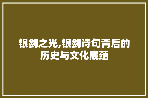 银剑之光,银剑诗句背后的历史与文化底蕴