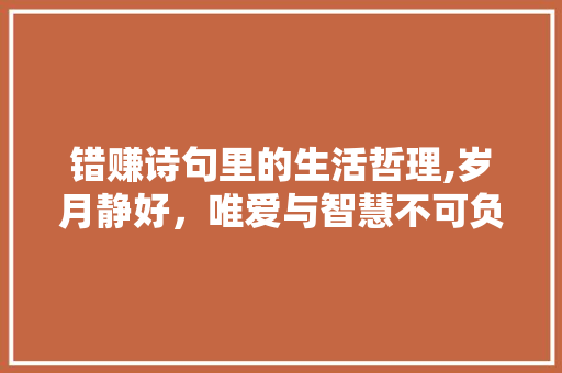 错赚诗句里的生活哲理,岁月静好，唯爱与智慧不可负